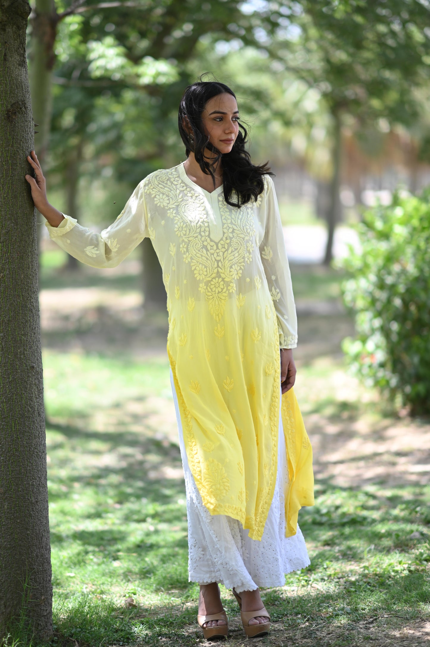 Pure Viscose Gorget Ombre Chikankari Kurti