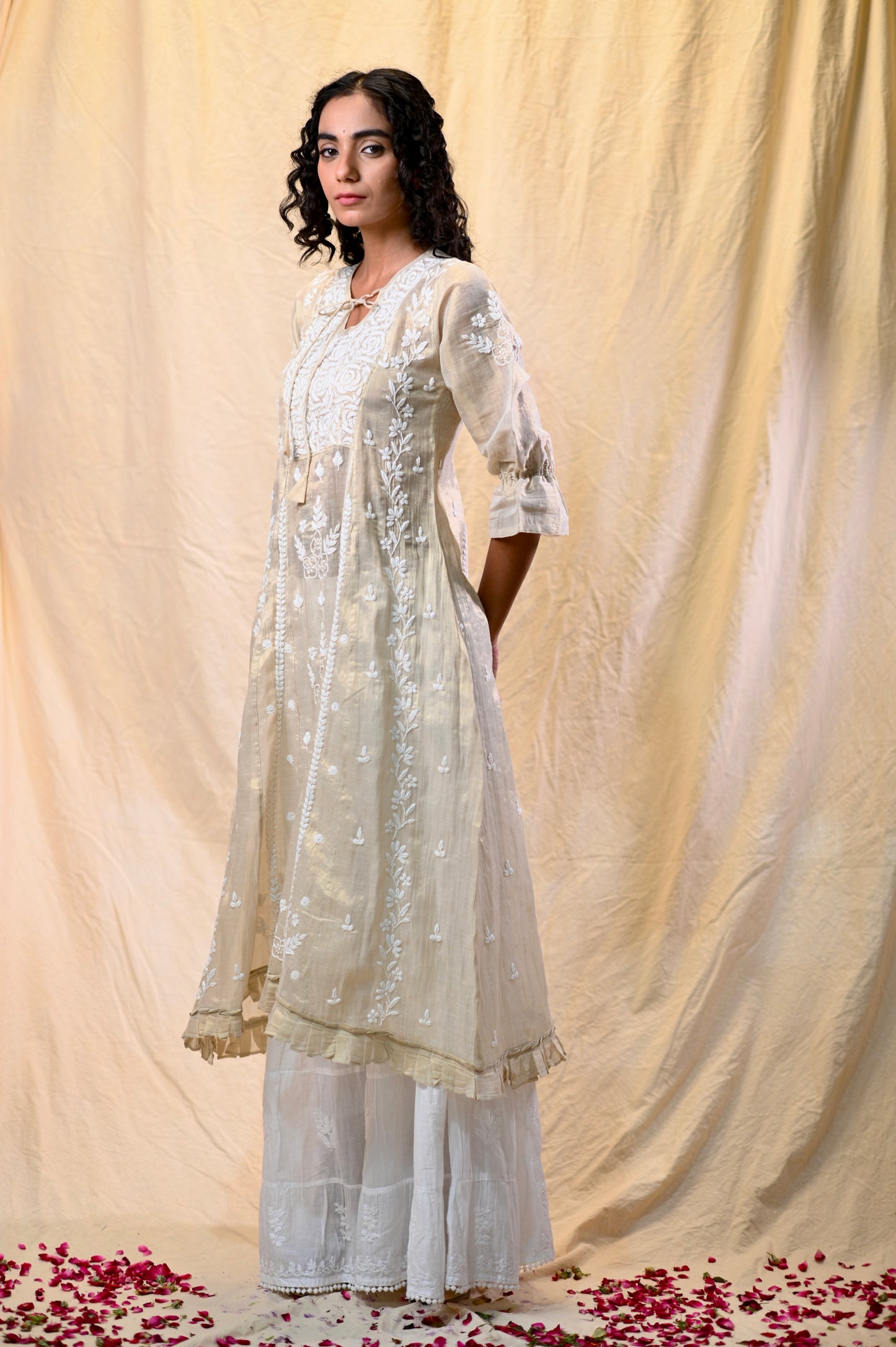 Tissue A-Line Chikankari Dress