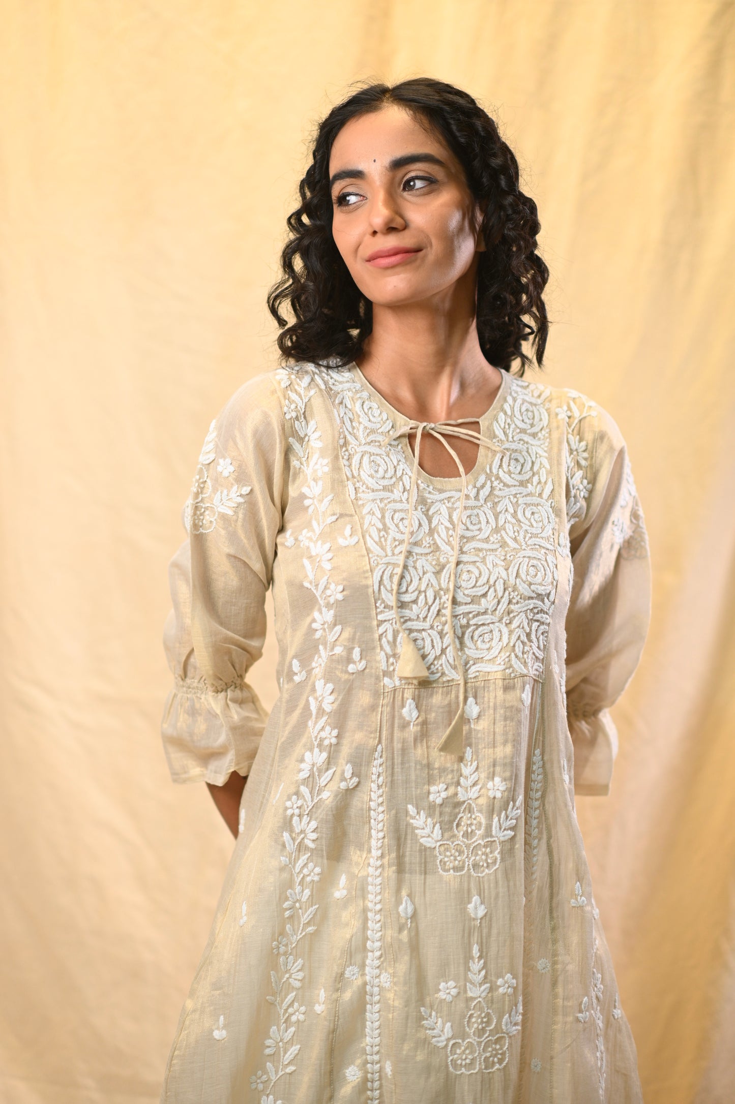 Tissue A-Line Chikankari Dress