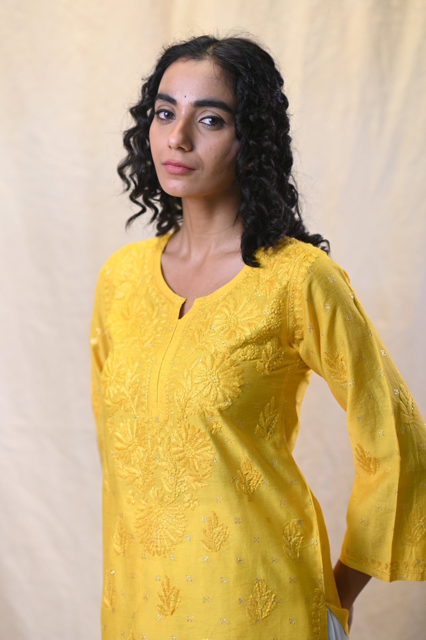 Banarsi Chanderi Exclsuive Chikankari Short Top