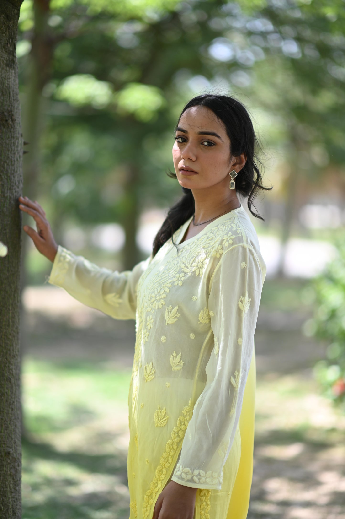 Pure Viscose Gorget Ombre Chikankari Kurti