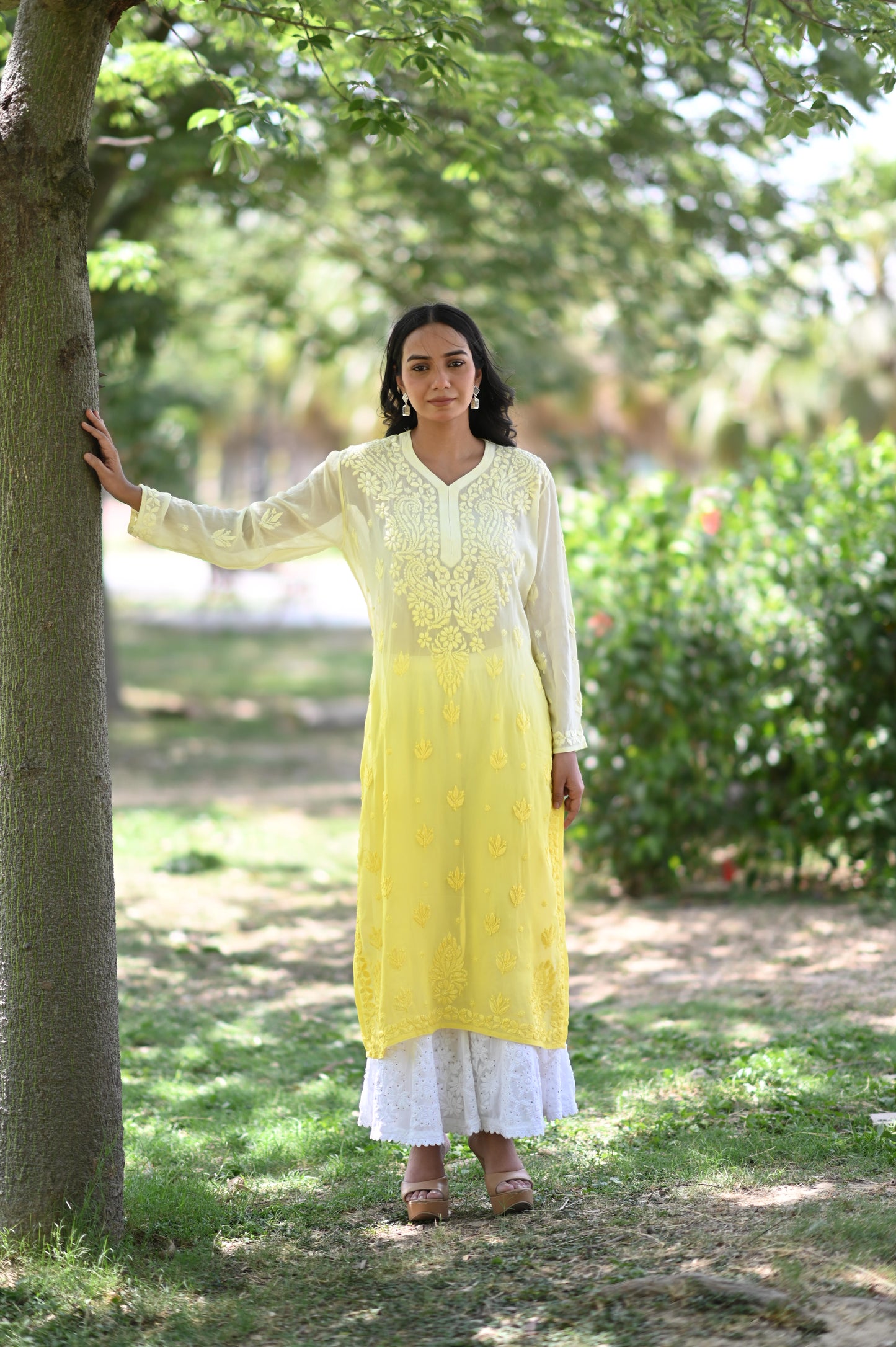 Pure Viscose Gorget Ombre Chikankari Kurti