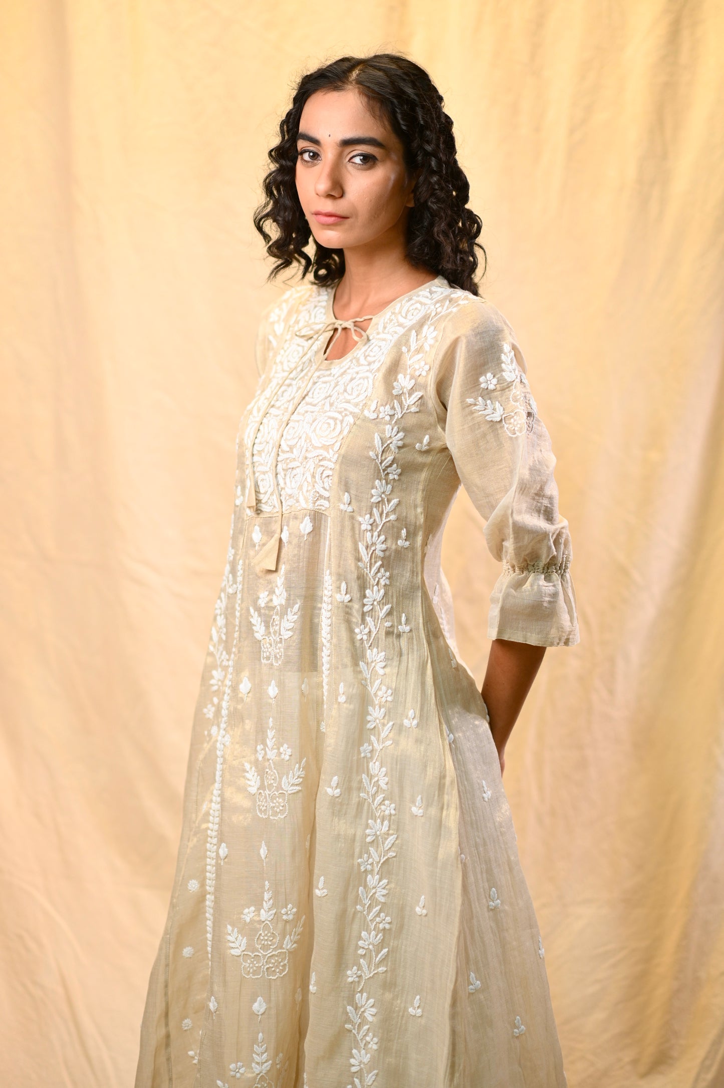 Tissue A-Line Chikankari Dress